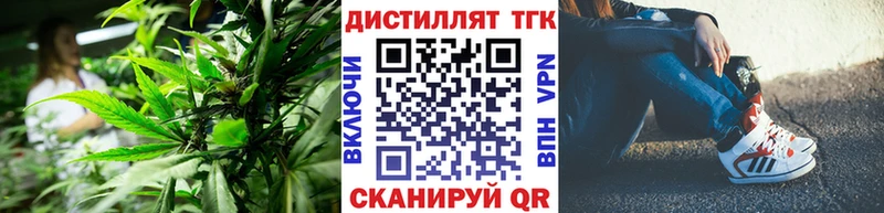 Купить  Себеж  ТГК жижа 