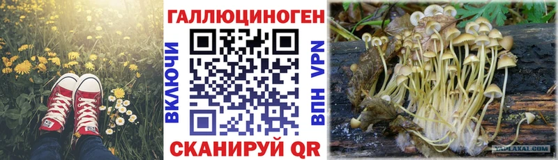 Галлюциногенные грибы GOLDEN TEACHER  Купить  Себеж 