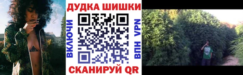 Купить где  Себеж  Марихуана сатива 